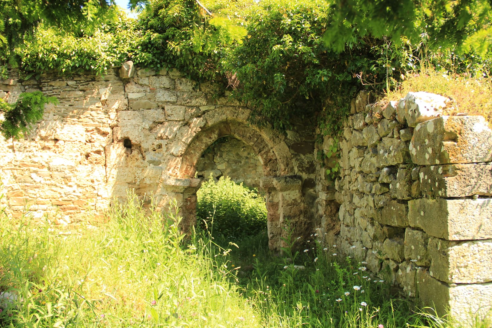 Campo de iglesia de Santa Eulalia de Pirueño