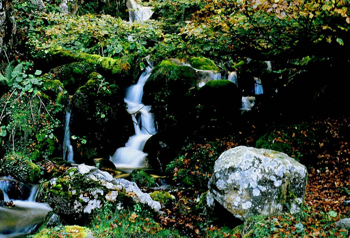 Molinos de Bezanes o Rioseco
