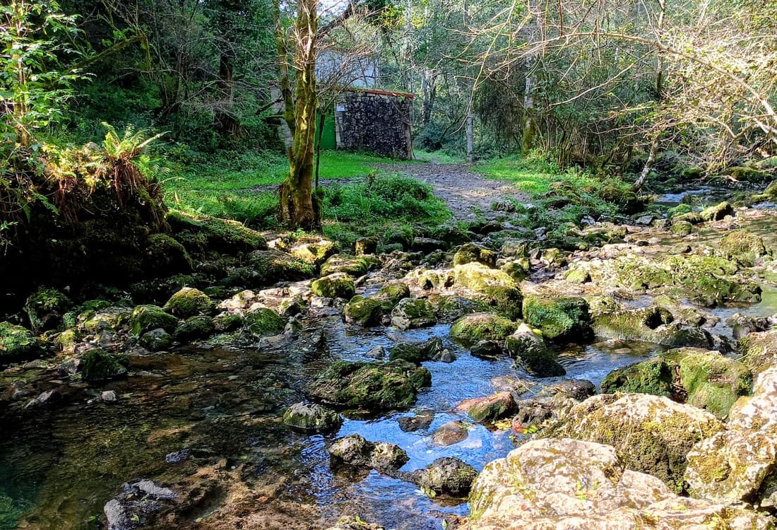 Ruta de senderismo junto a un río en Asturias