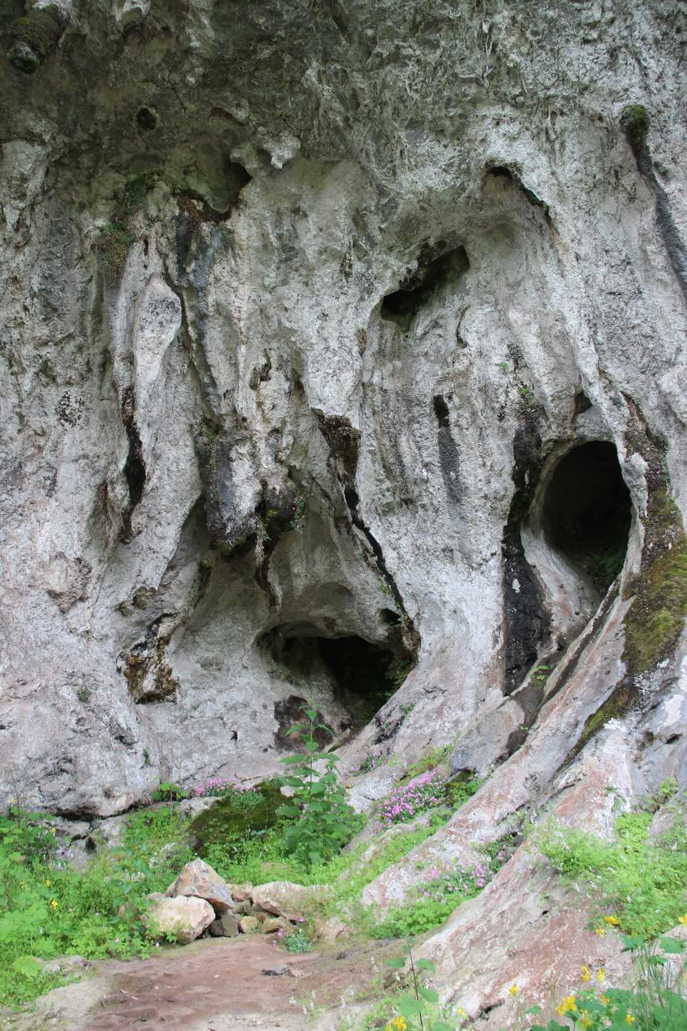 Cueva del Conde (o del Fornu)