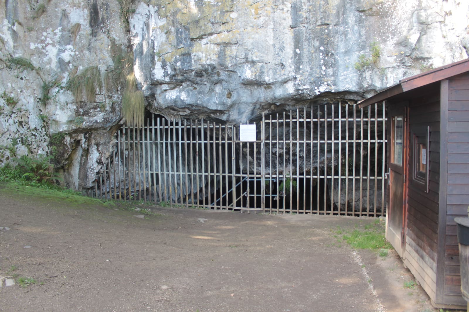 Cueva de El Pindal