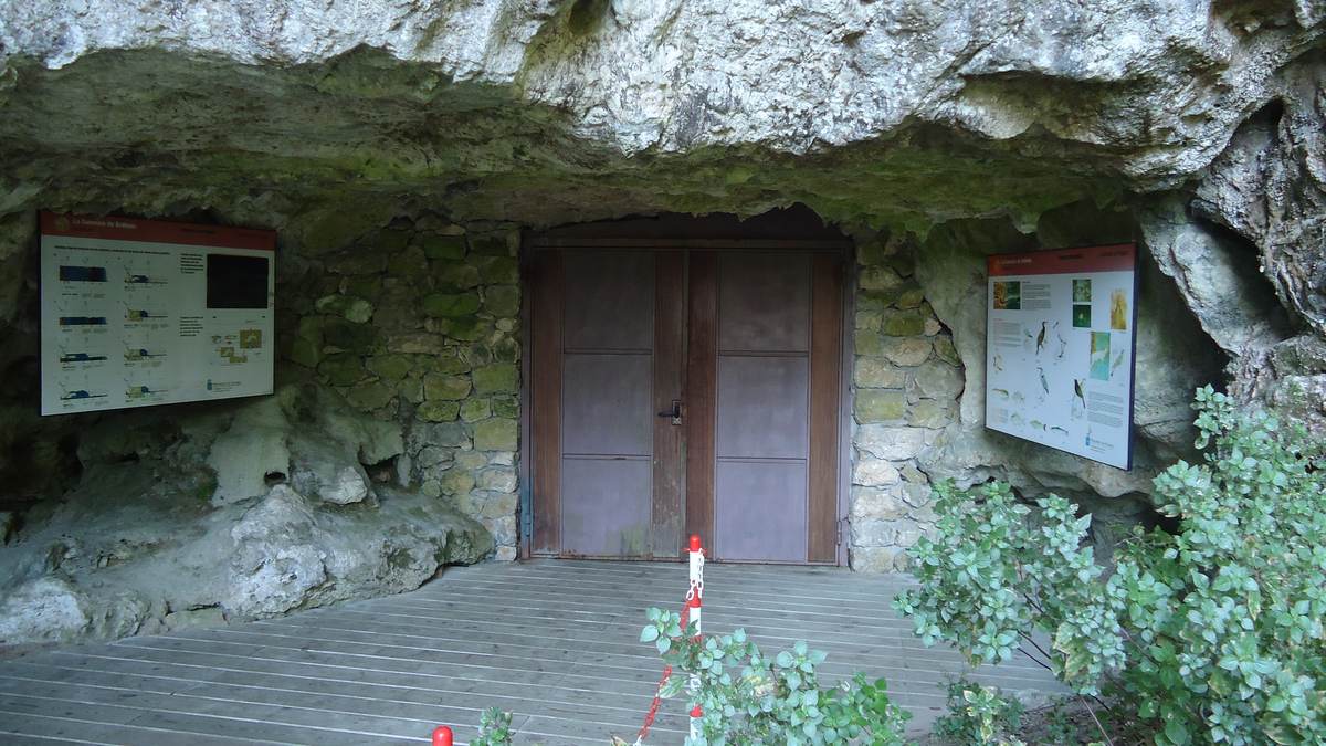 Cueva de Ardines