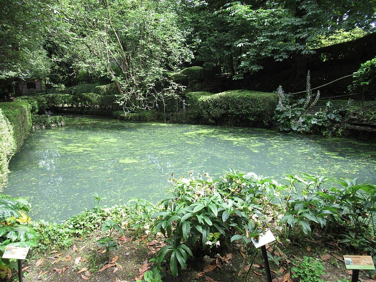 Jardín Botánico Atlántico de Gijón