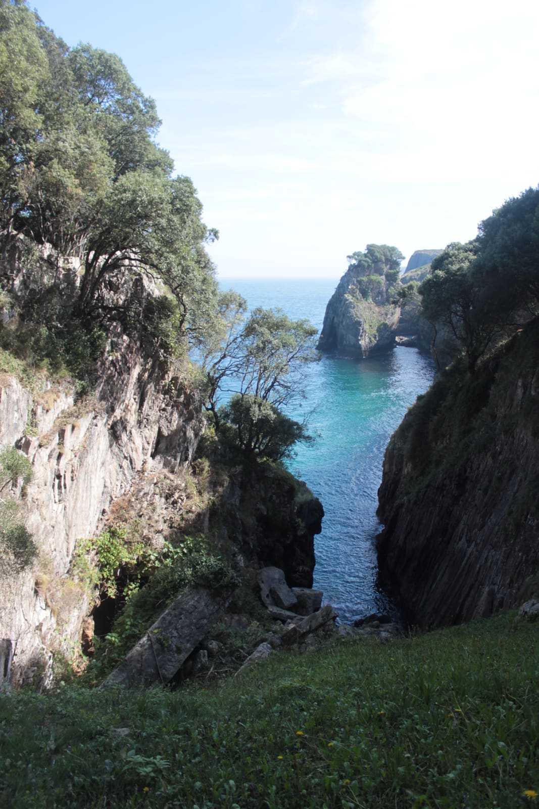 Mirador de El Picu