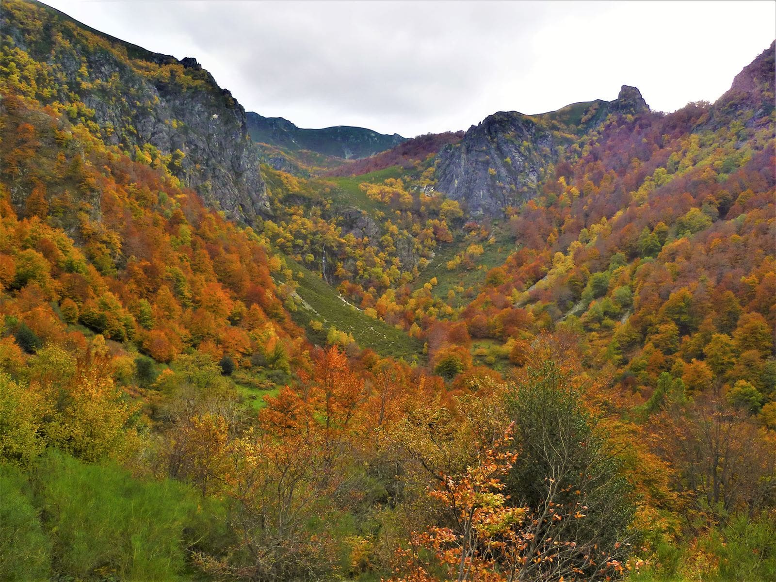 Parque Natural de Redes