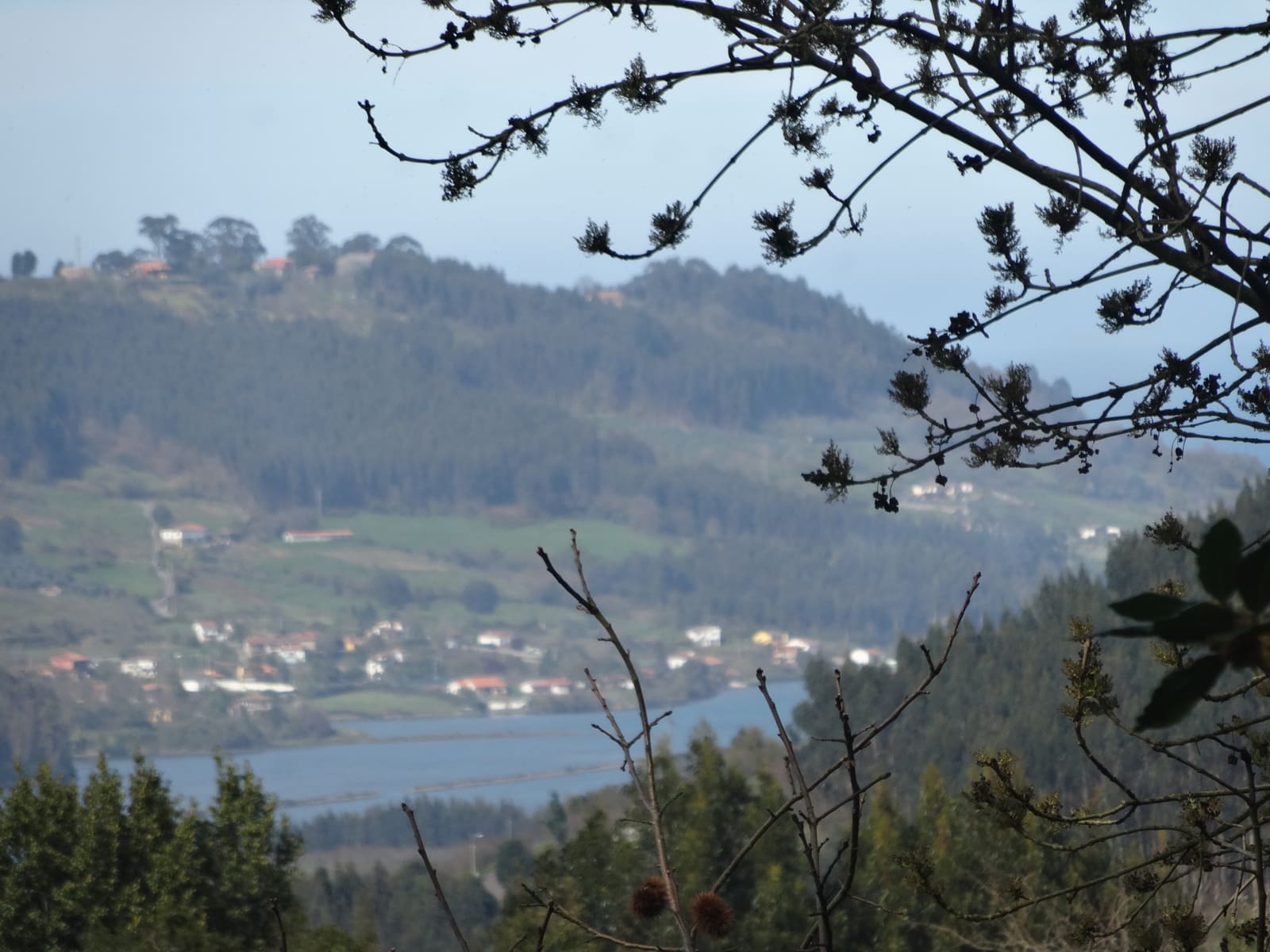 Ría de Villaviciosa
