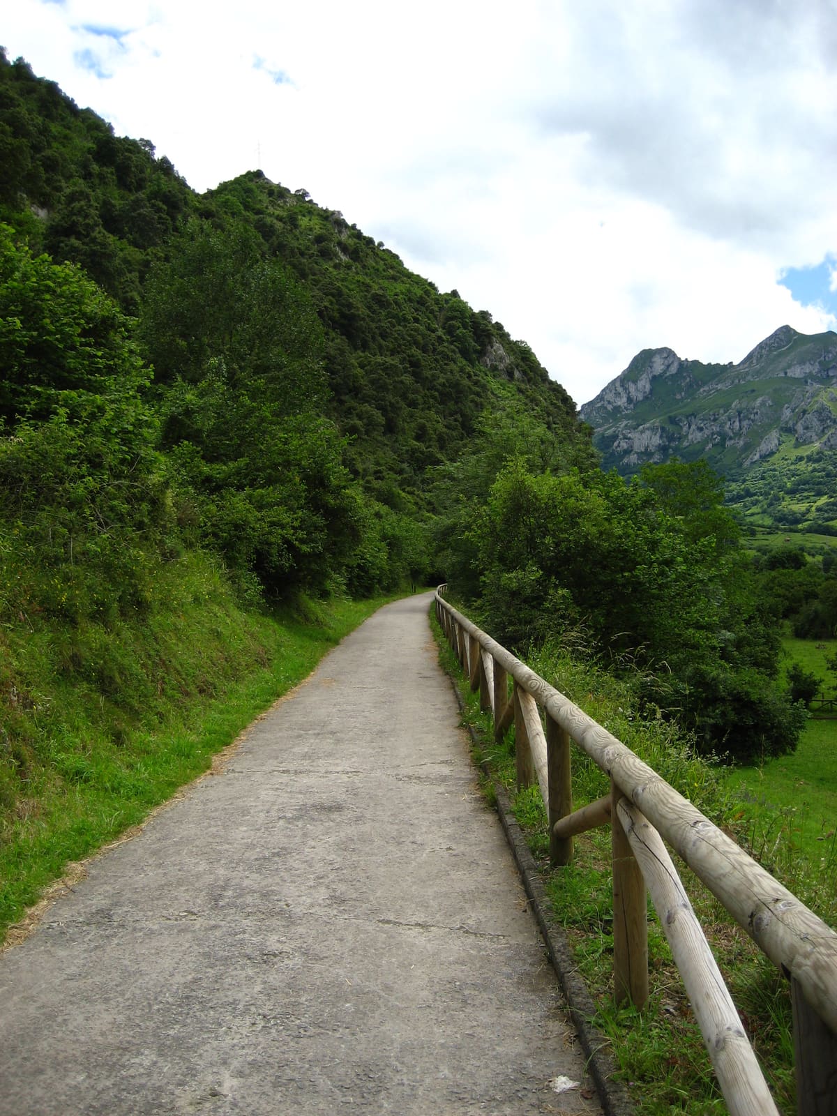 Senda del Oso (tramo Teverga)