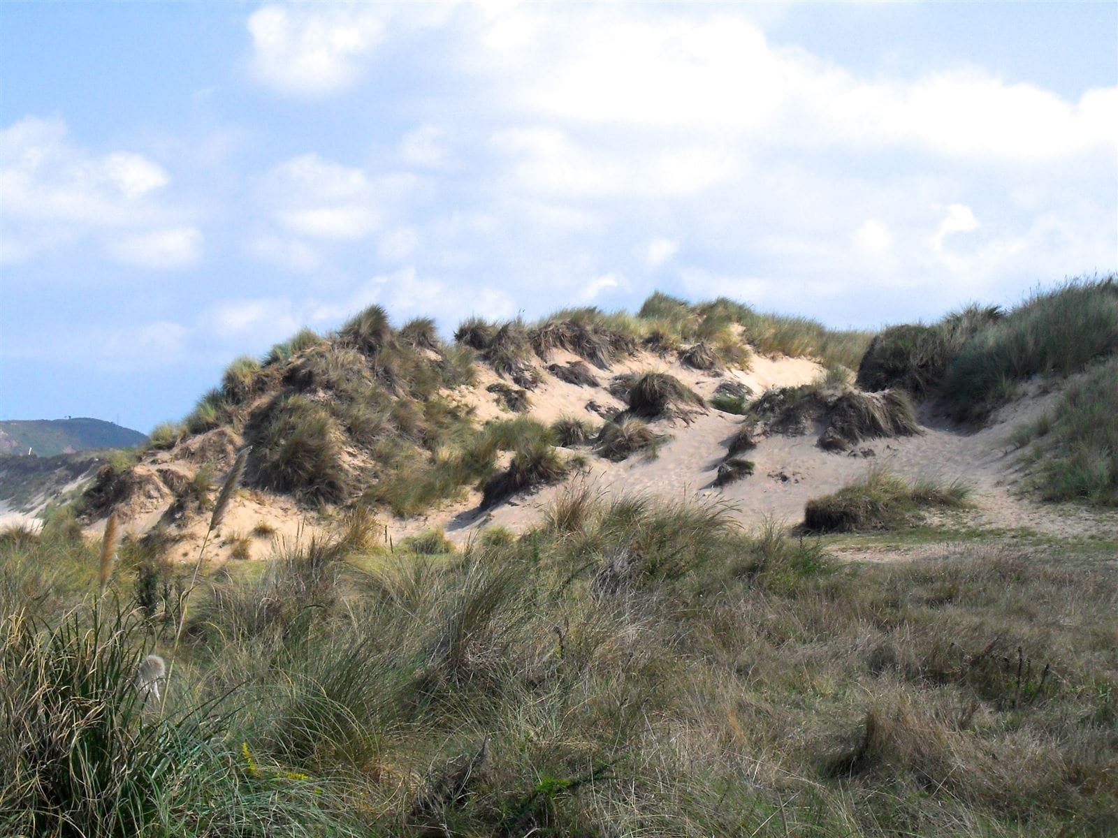 Playa de San Juan de Nieva / El Espartal 