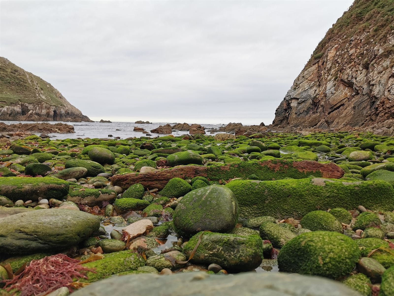 Playa de Salencia 