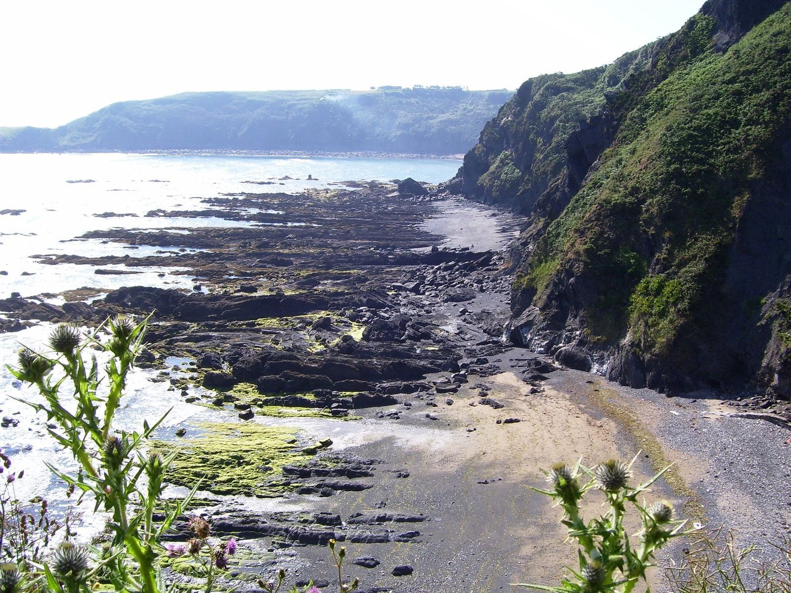 Playa Viodo 